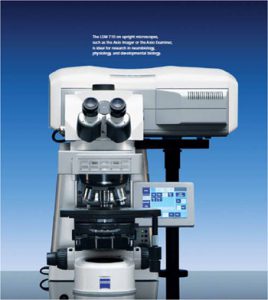 Zeiss LSM710 confocal microscope