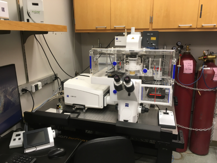 Zeiss LSM880 FCS confocal microscope