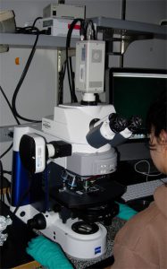 Zeiss AxioImager M1 microscope