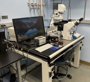 Zeiss/Yokagawa X1 spinning disk confocal microscope