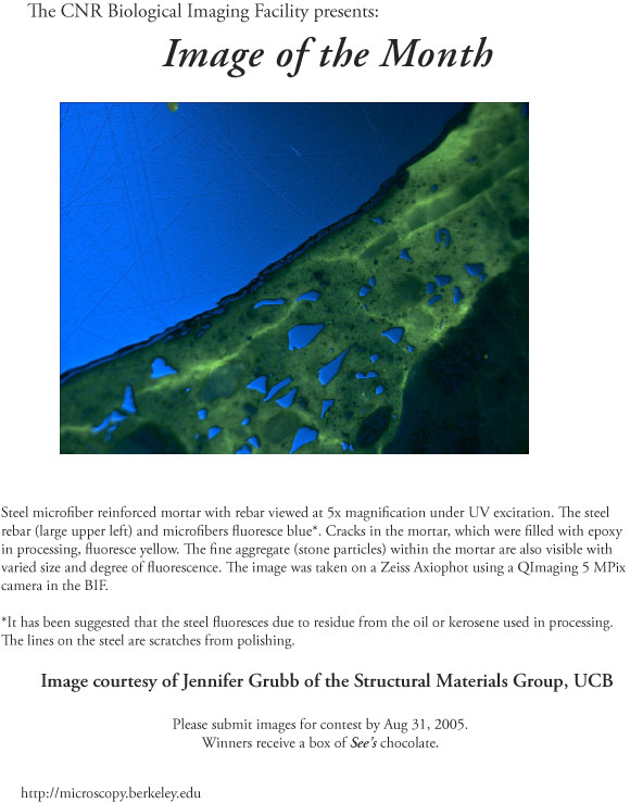 Image of the Month from Aug 2005