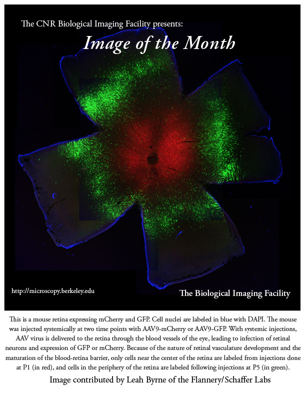 Image of the Month May 2014
