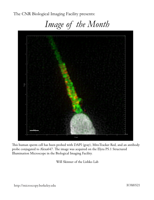 Image of the Month May 2021