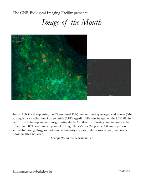 Image of the Month June 2021