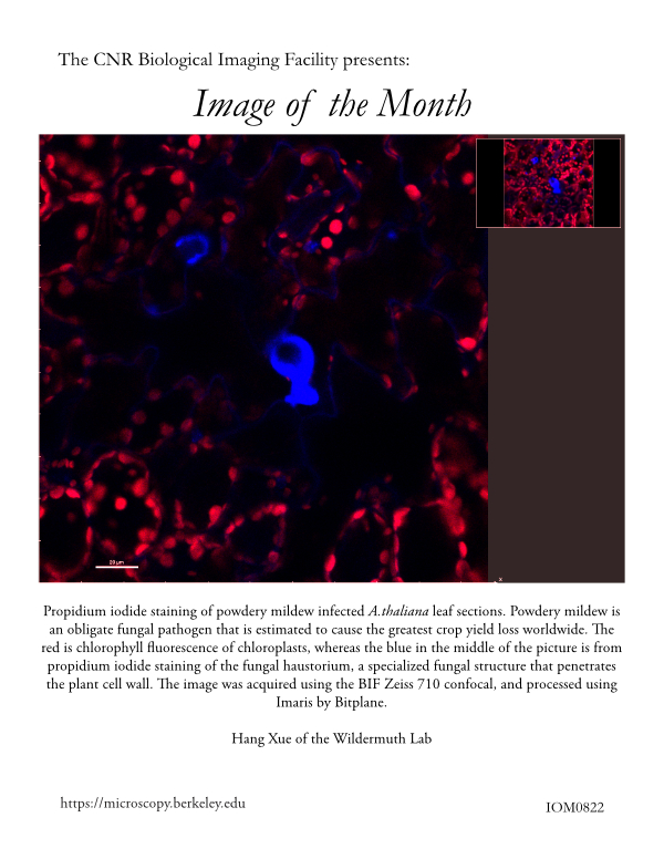 Image of the Month Aug 2022