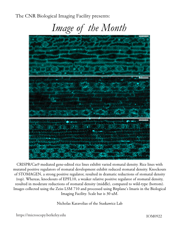 Image of the Month Sept 2022