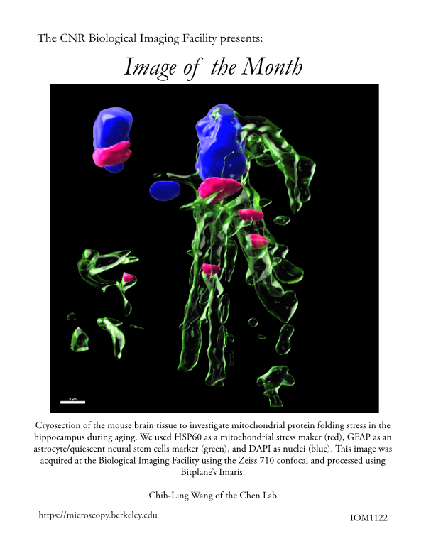 Image of the Month Nov 2022