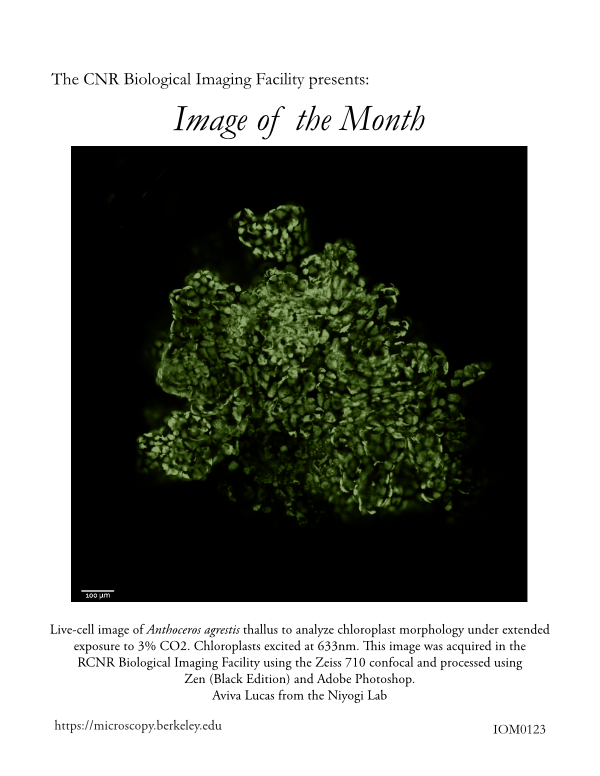 Image of the Month Jan 2023