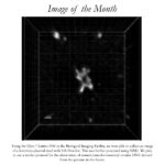 Image of the Month March 2023