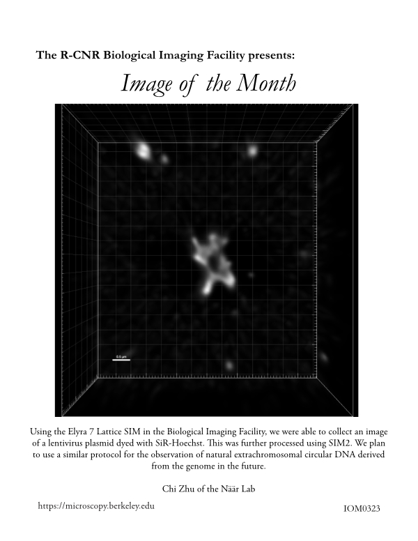 Image of the Month March 2023