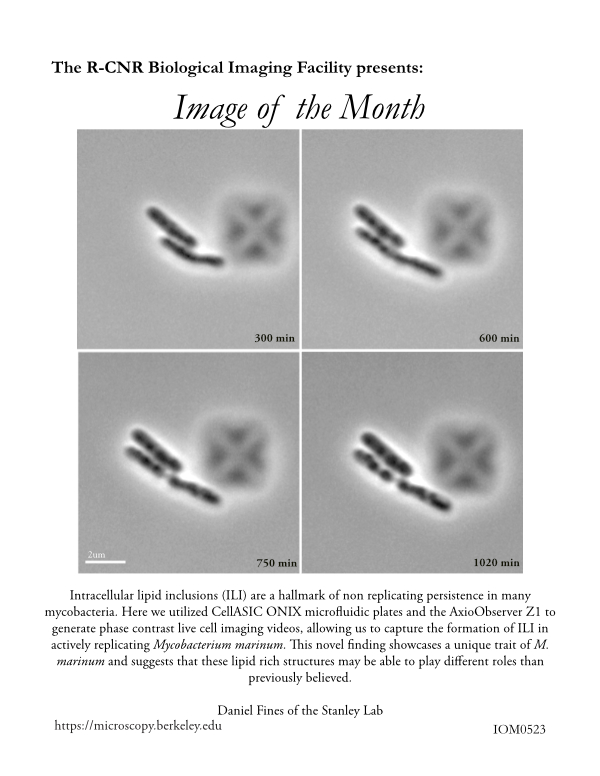 Image of the Month May 2023