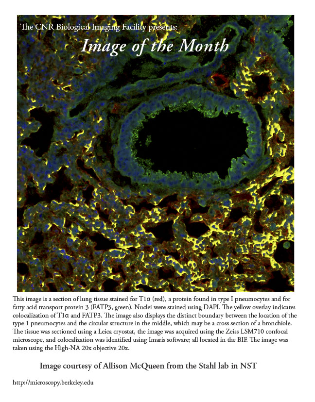 Image of the Month Feb 2012B